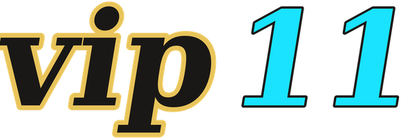 vip11 logo